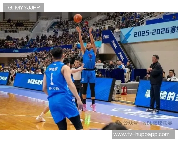 NBL今日战报：石家庄翔蓝险胜山东蜜獾张家口体文旅遭长沙勇胜逆转