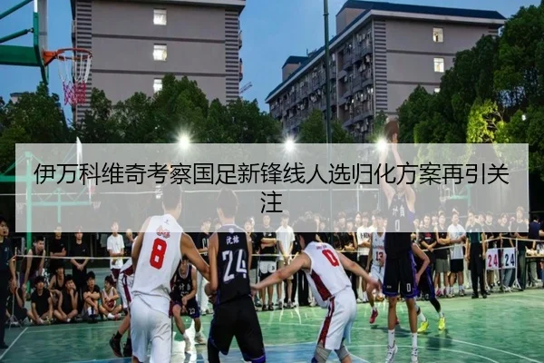 伊万科维奇考察国足新锋线人选归化方案再引关注